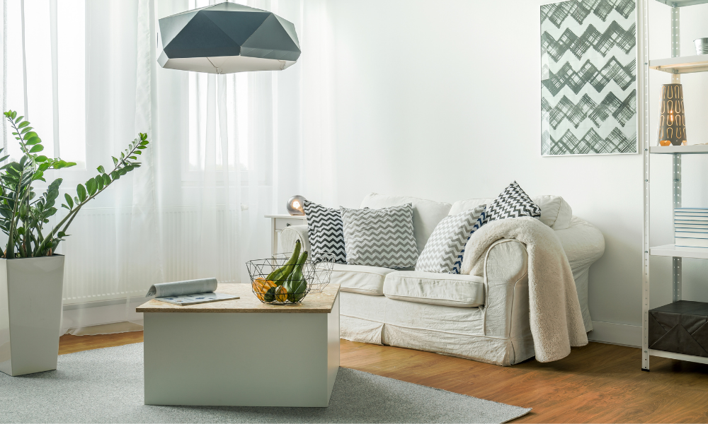 salon idéal pour investir dans un T2