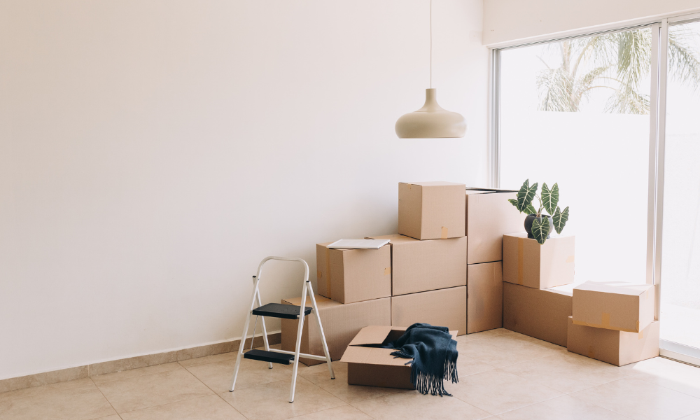 Location Bordeaux STOA Groupe